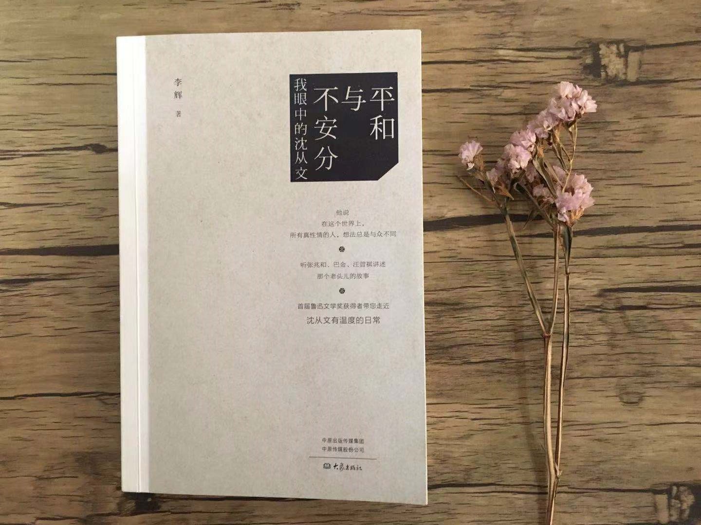 从文家书后记,从文家书全文