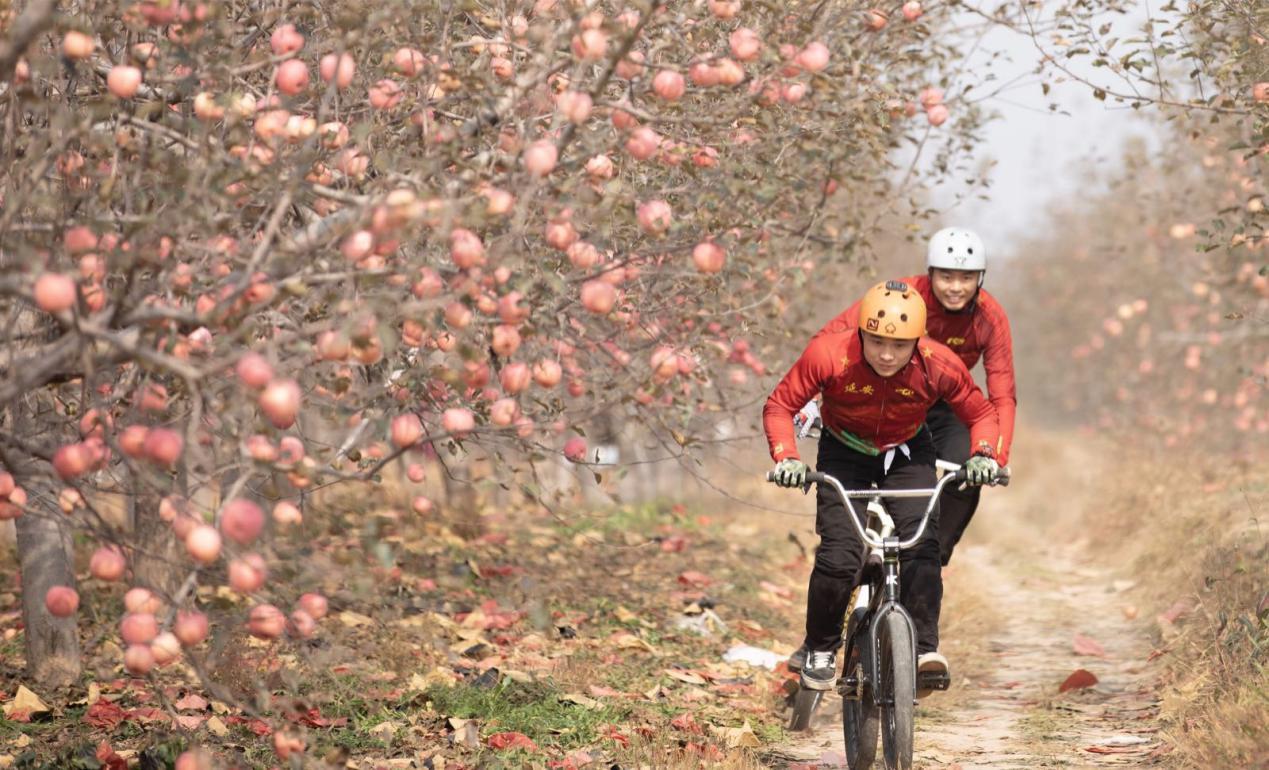洛川苹果最好吃的是哪种,收获最快的水果