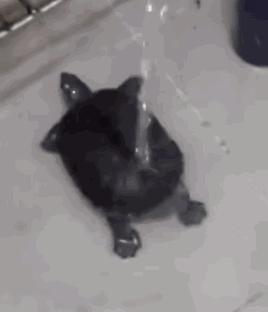 双11彩妆攻略,双11必买清单护肤图集