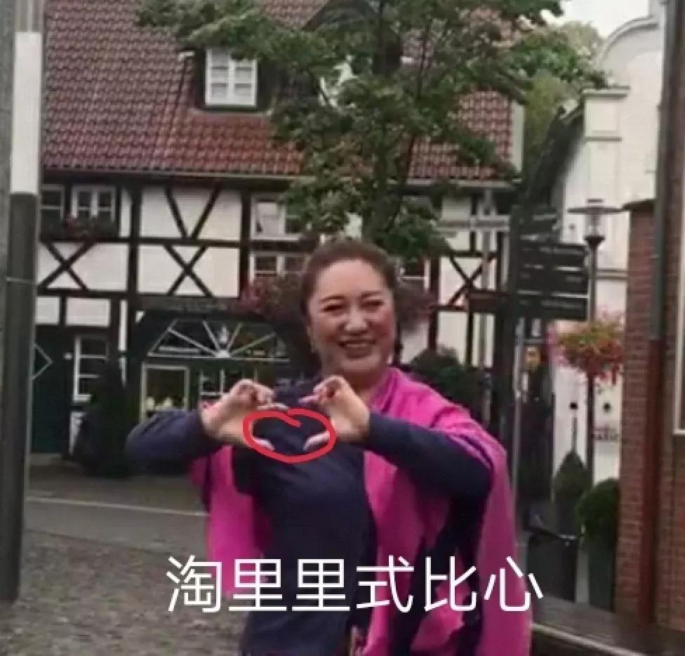 猫粮有关猫咪的健康可不能随便选 (猫咪生病吃哪种湿猫粮)