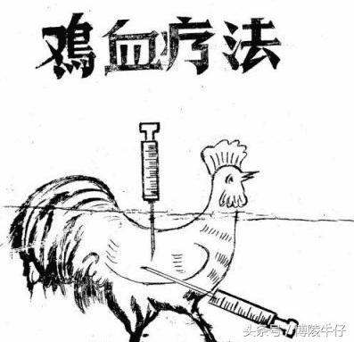 六十年代打鸡血是真的吗,六七年代打鸡血