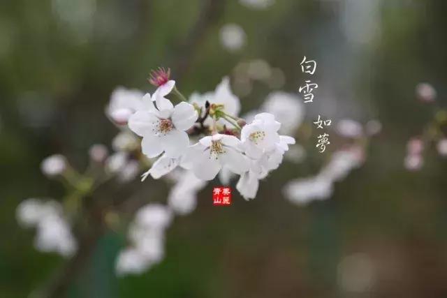 红蓝绿黑你喜欢什么色,红绿蓝清新配色