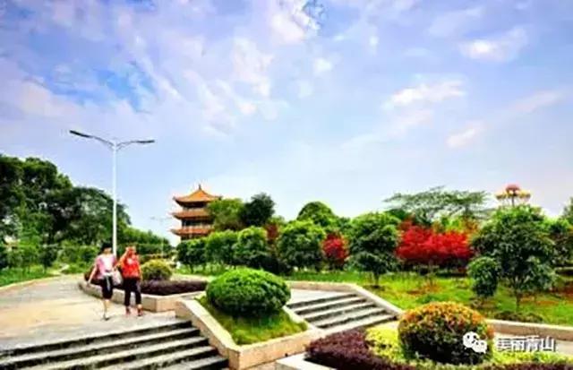 红蓝绿黑你喜欢什么色,红绿蓝清新配色