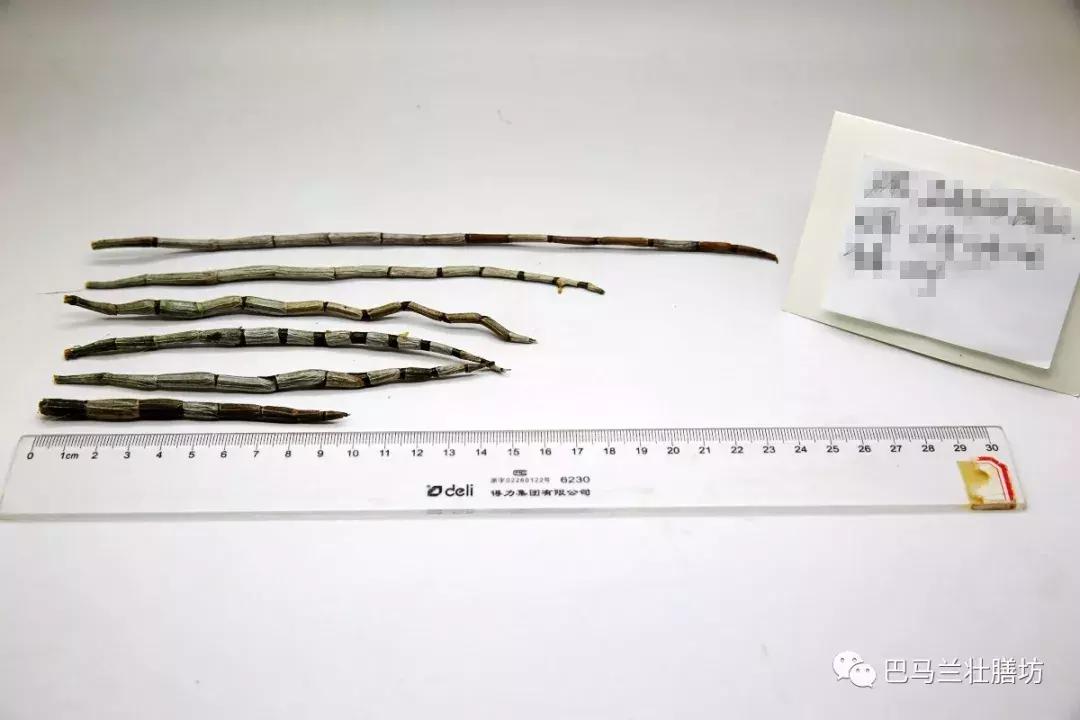 广西畅销的中药材,广西十大名贵药材排行榜