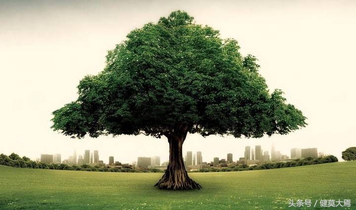 经常憋尿对膀胱有什么危害,经常憋尿对身高有什么危害