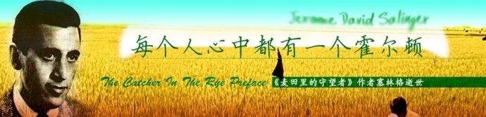 麦田里的守望者原创视频,麦田里的守望者创作的原声