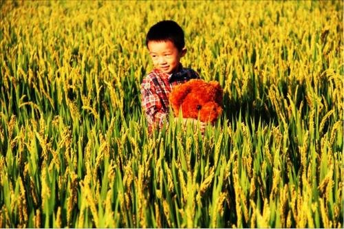 麦田里的守望者原创视频,麦田里的守望者创作的原声