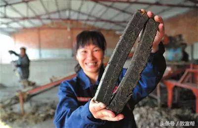 秸秆变煤前景怎么样,全国秸秆发电可代替多少煤炭