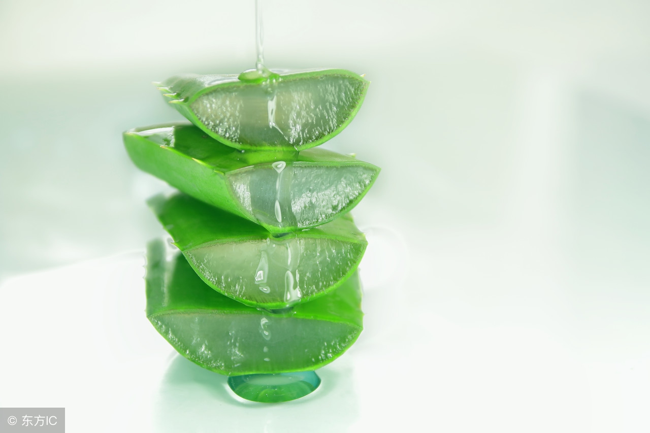 芦荟胶的功效与作用多少钱一盒,好芦荟胶的选择和功效