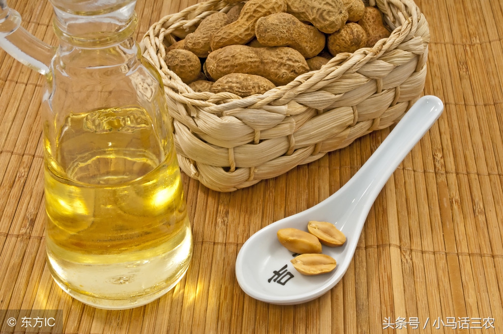 花生油为什么其他食用油更健康,为什么花生油的营养价值这么高