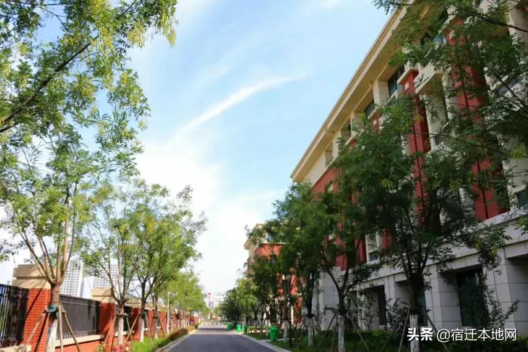沭阳最牛民办学校,沭阳最牛逼学校