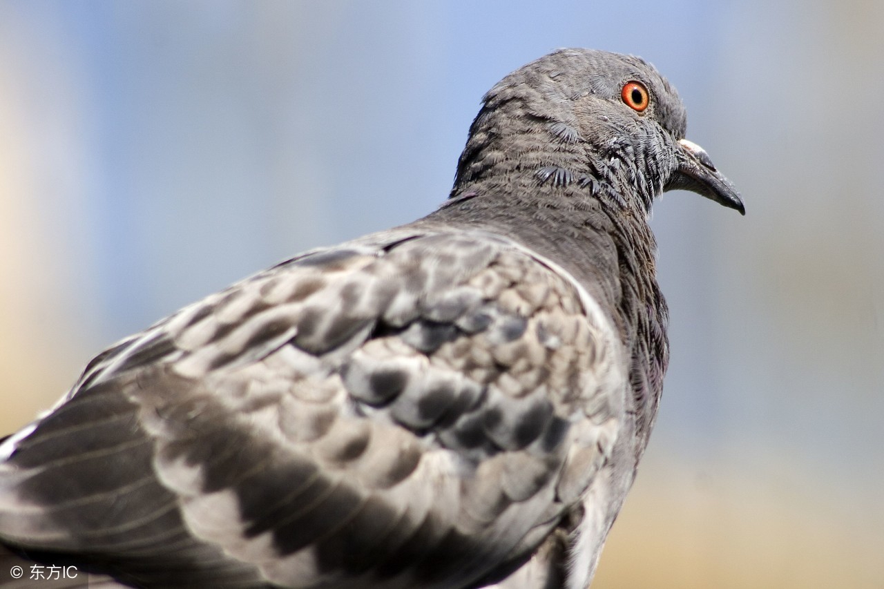 89个电气技术重点问题精选,不容错过!