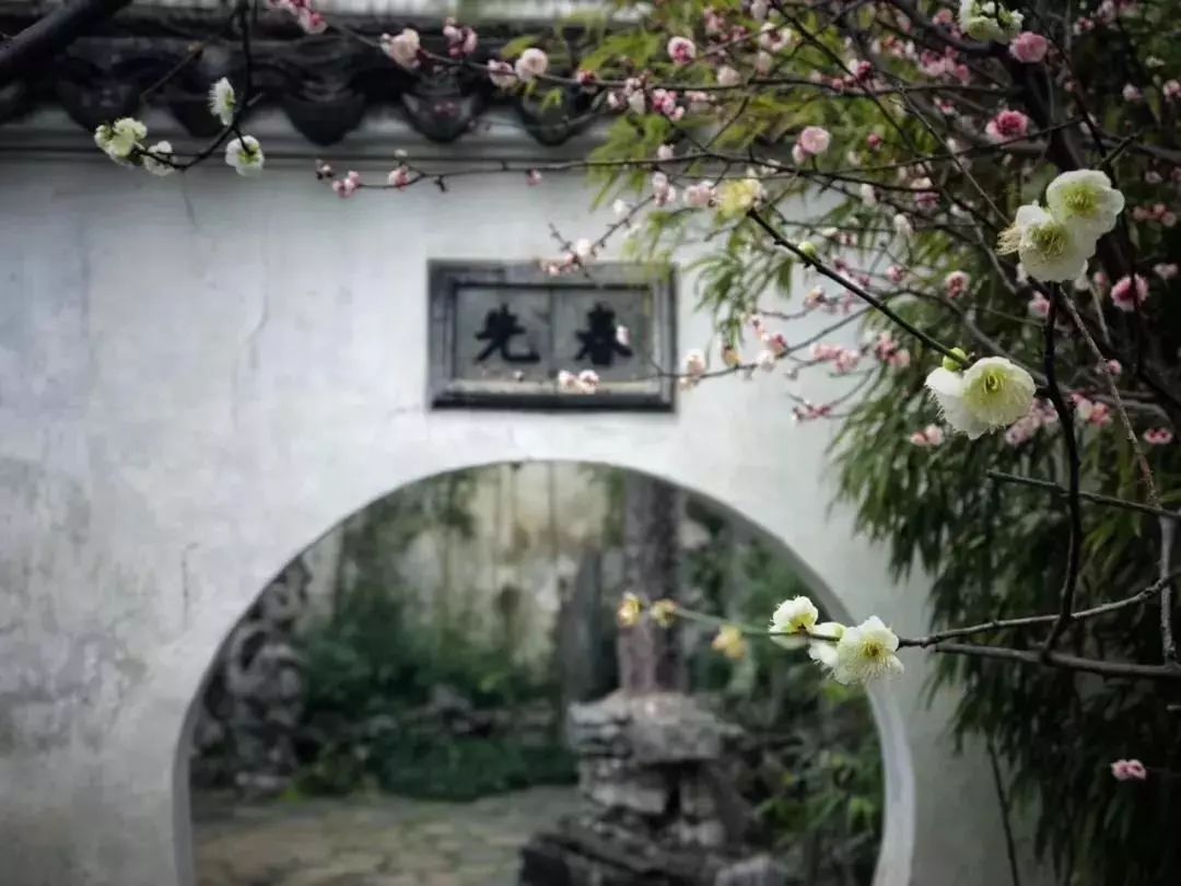 山花野鸟|园林花语