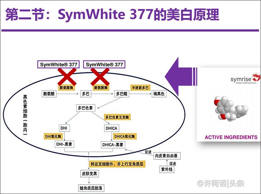 symwhite377祛斑精华液价格,x教授黑暗物质三部曲
