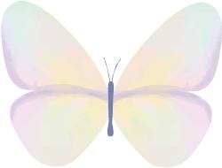 瘦桃桃「奥利司他」：把吃出来的脂肪肝“吃”回去！最全饮食指南