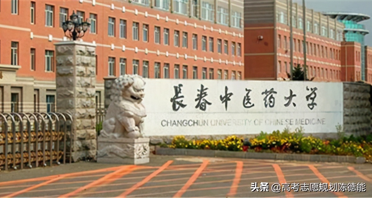 南方医科大学中医学科评估,中医学科排行榜前十名