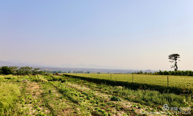 偃师巩义有哪些旅游景点,洛阳偃师旅游景点大全介绍