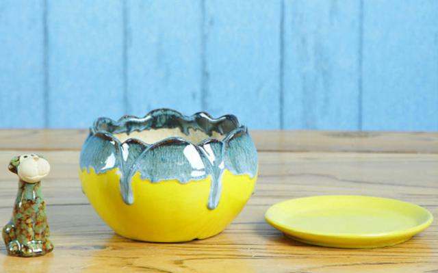 微景观绿植小花盆,各种小花盆有创意的