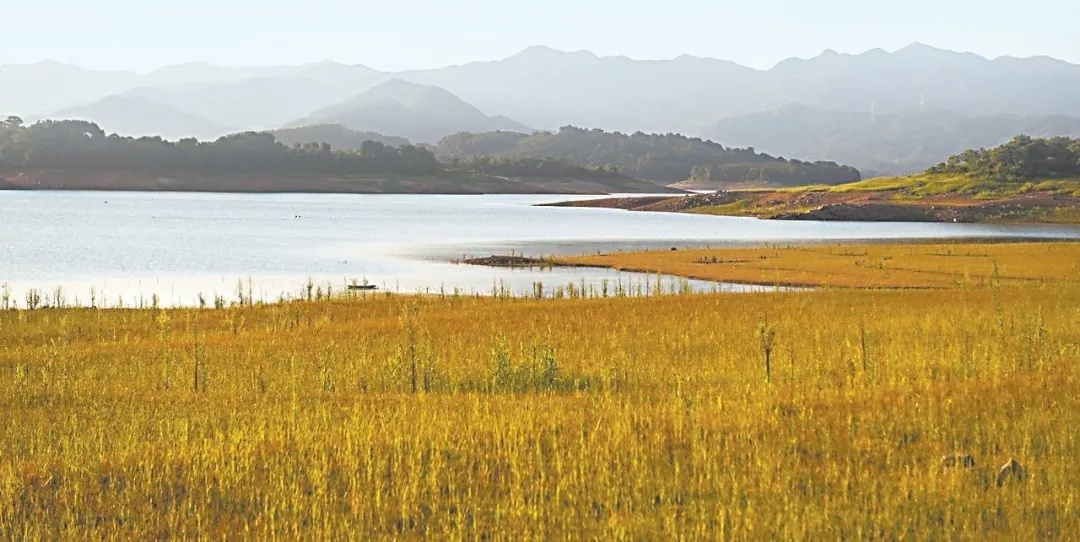 越看越美福建,越看越美的图片