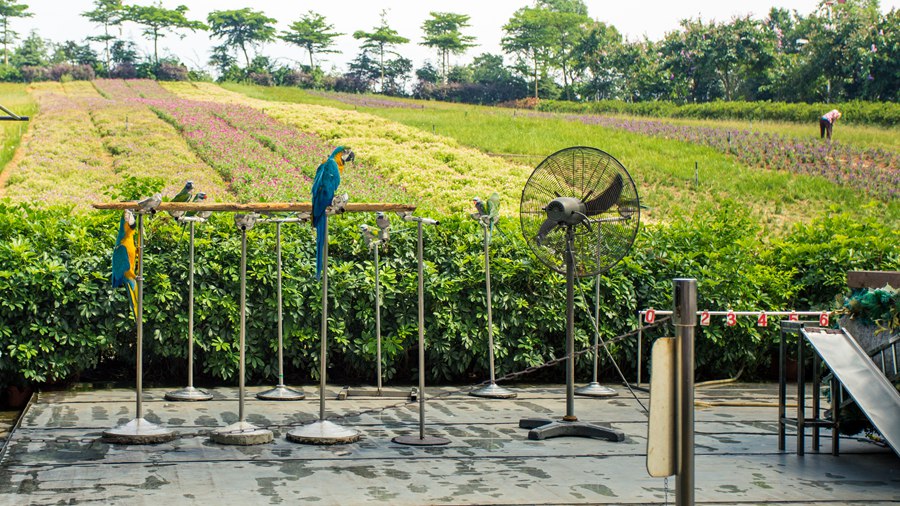 华侨城特价酒店,深圳华侨城酒店特惠
