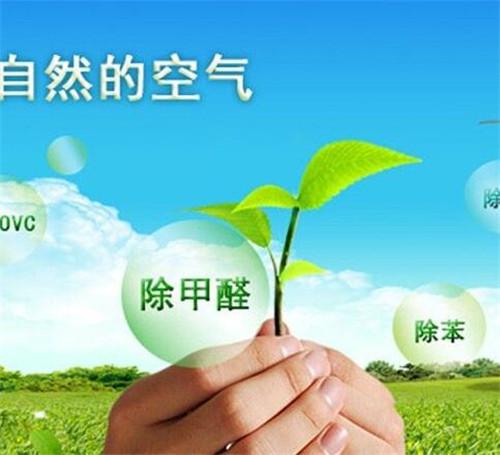 怎样去除甲醛方法最快最好,怎样去除甲醛最快方法视频