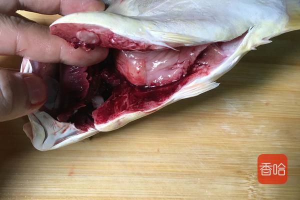 这鱼是“海里小人参”，1斤35，益气养血，护眼明目，贵点也值得