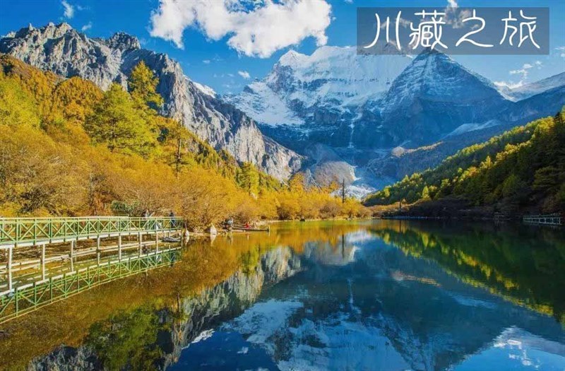 沈阳出发去新疆夕阳红专列旅游,沈阳夕阳红旅游专列是哪开的