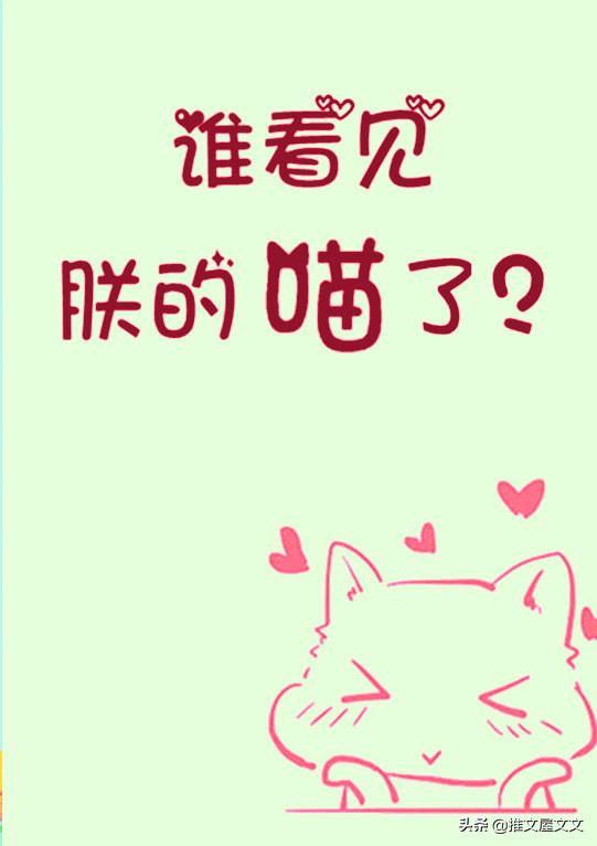 谁看见朕的喵了小说好看吗,谁看见朕的喵了完结番外