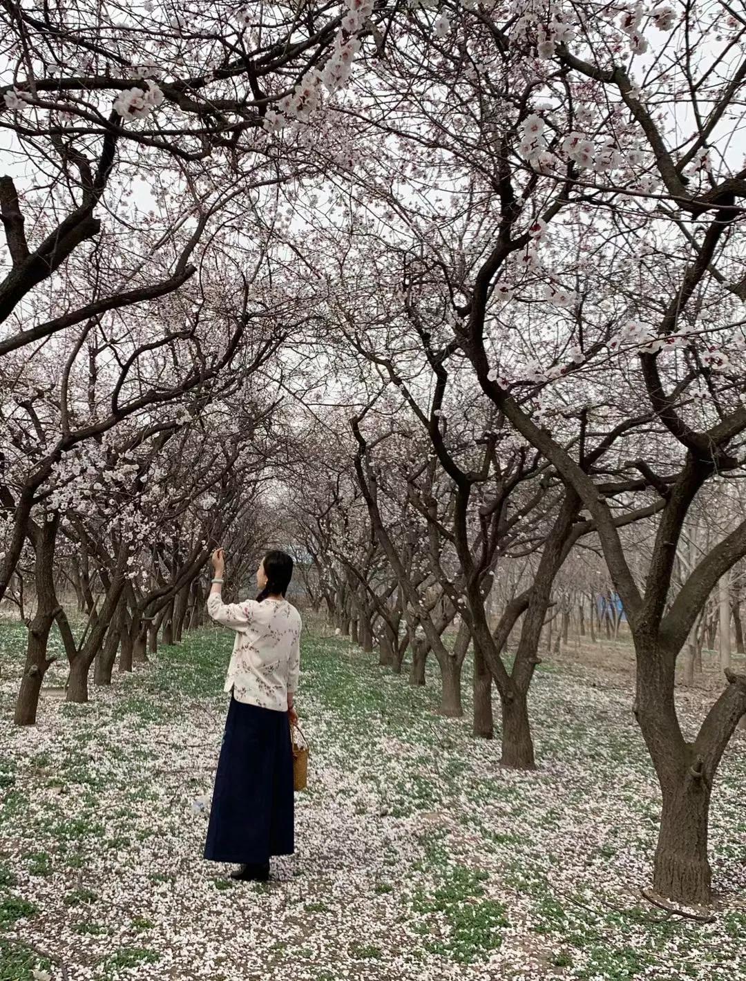 老公再婚了我该怎么办,丈夫回归家庭后妻子应该怎么相处