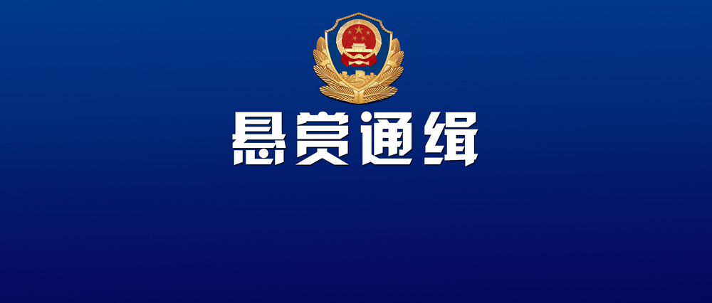 公安部通缉5名a级通缉令人员,公安部a级通缉令悬赏通告