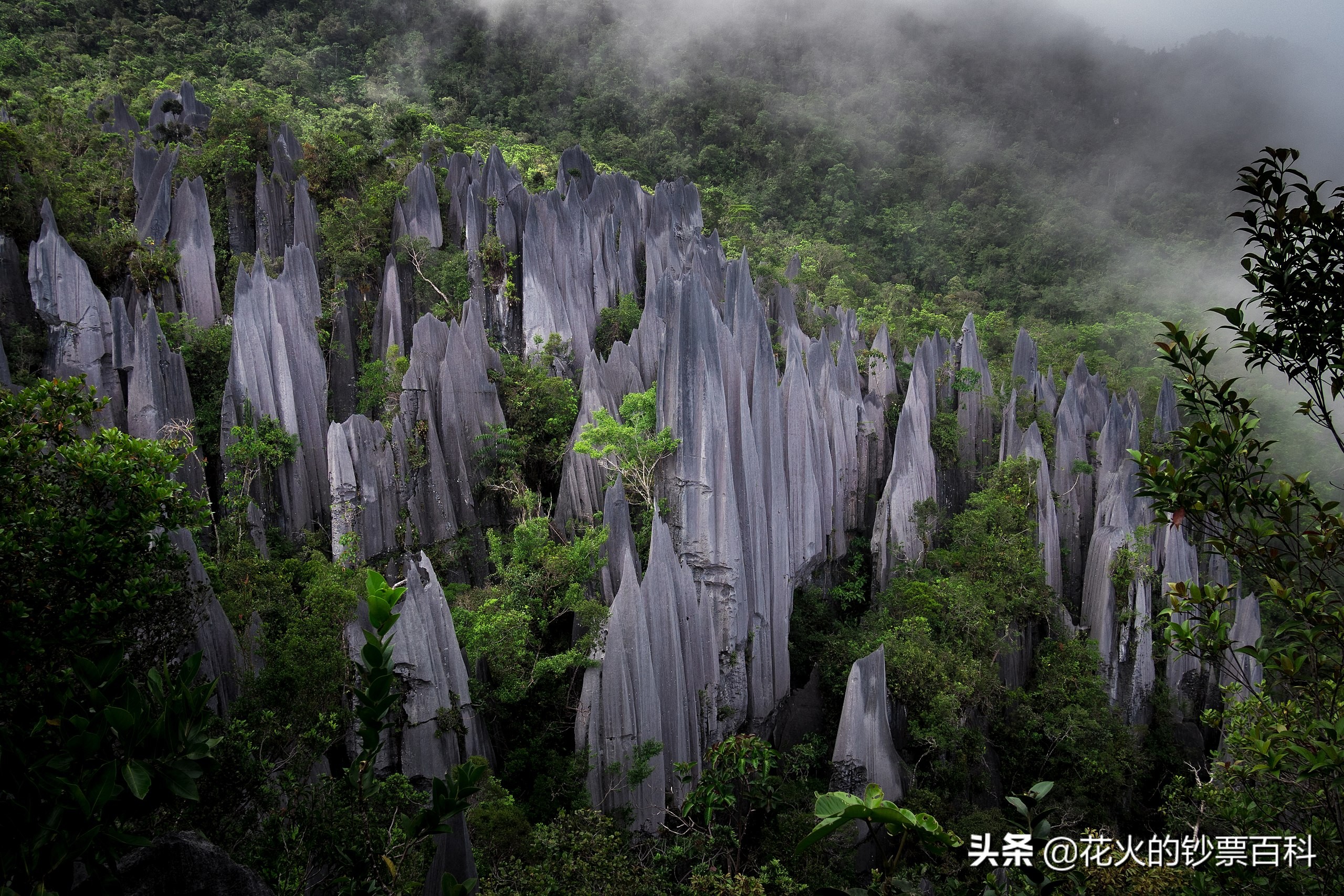 马来西亚新版钞票,让你看看马来西亚人有多漂亮