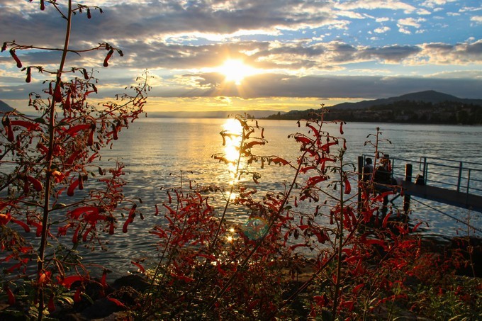 瑞士蒙特勒镇旅游攻略,蒙特勒小镇美景