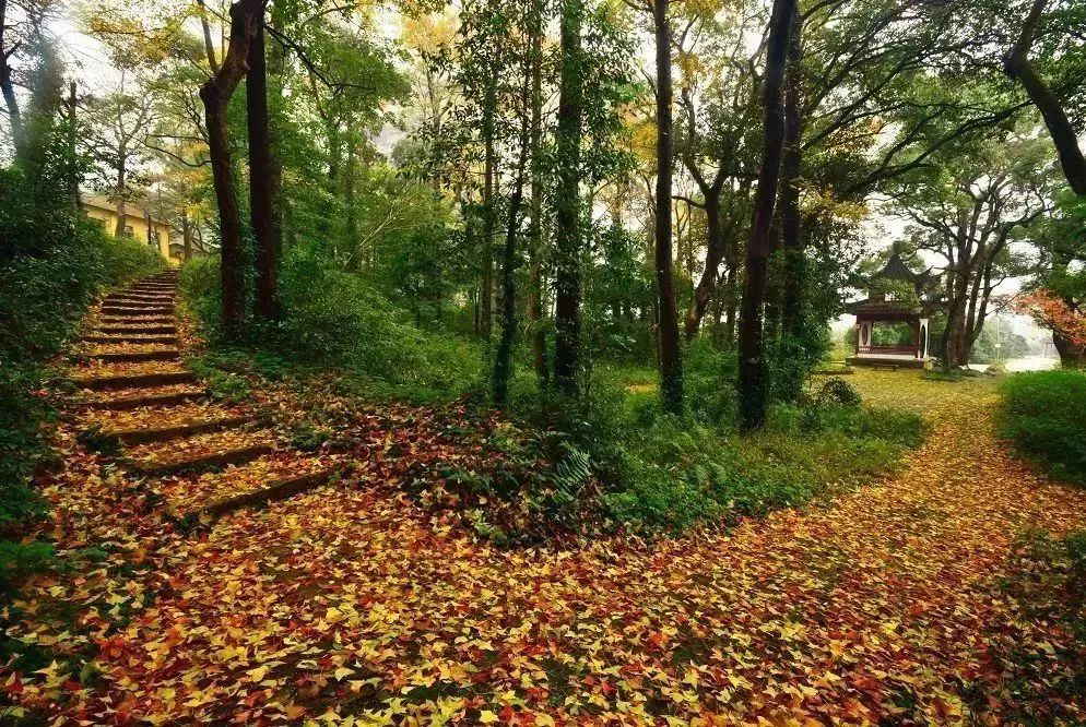 北仑旅游攻略大全集,北仑旅游攻略