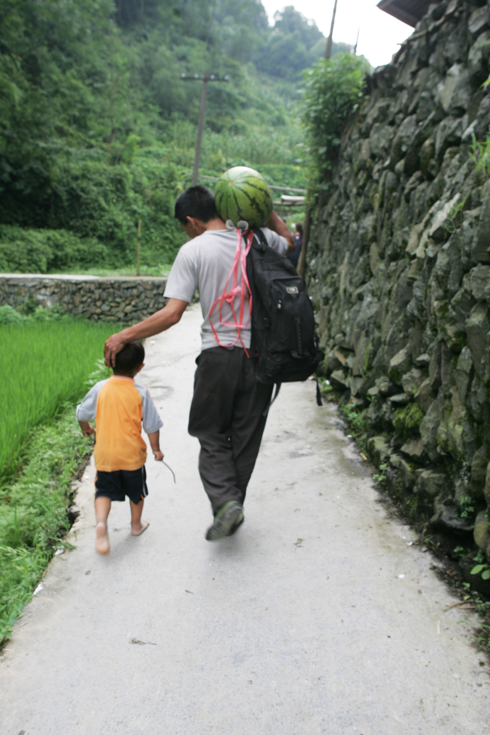 湘西保靖县有多少村,湘西保靖有几个镇