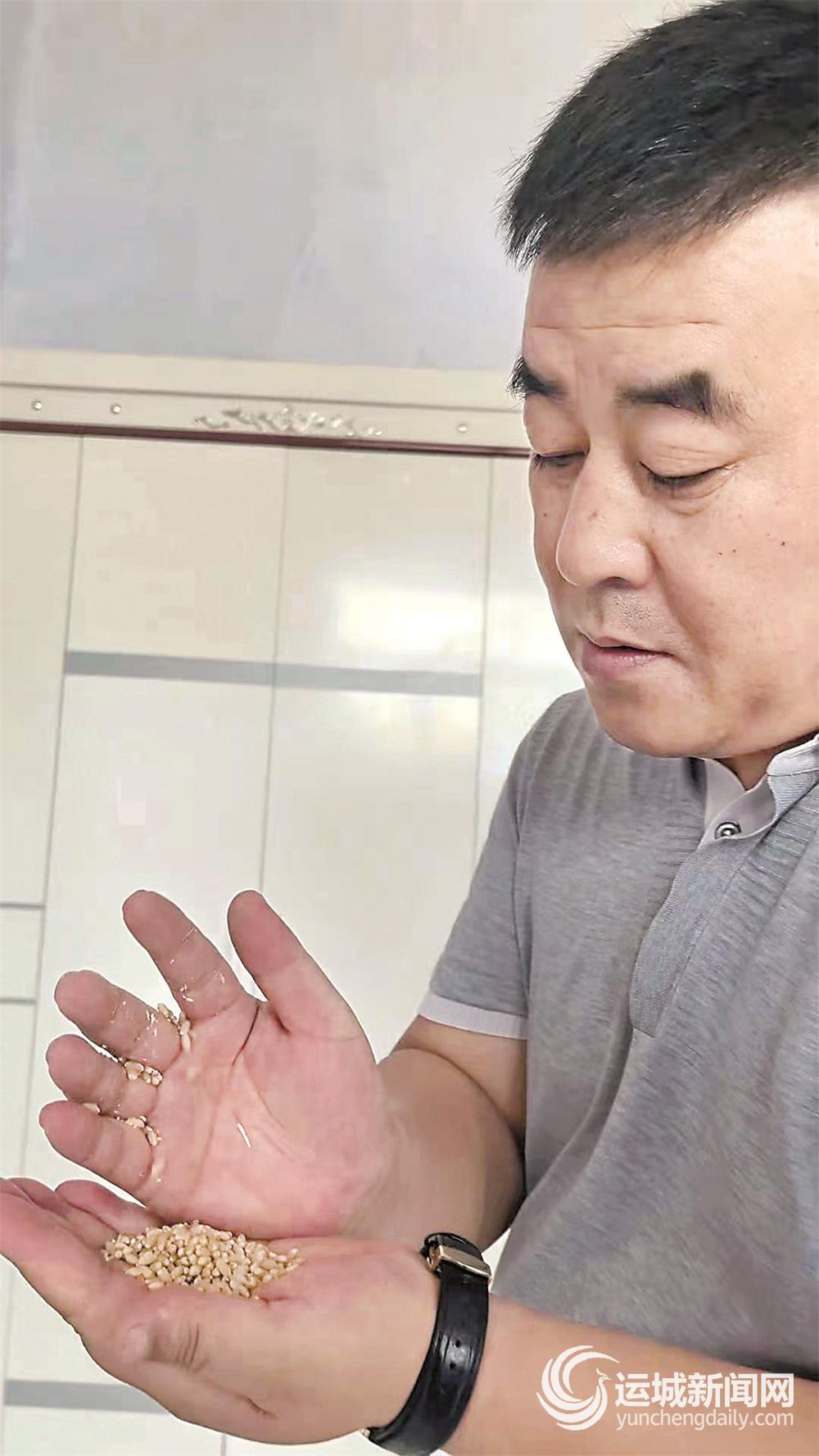 老陈淘麦记直播,老陈淘麦记年龄