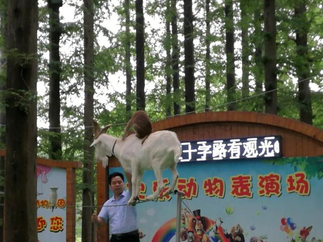 日照文旅,日照旅游攻略