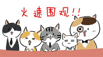 前向运动精子3.8%是不是要做试管,精子前向运动12.5%可以做试管吗