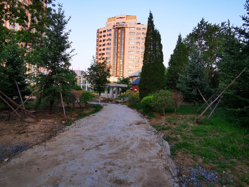 娌堥槼寮犲＋濂夎揪鍏洯,娌堥槼濂夎揪鍏洯