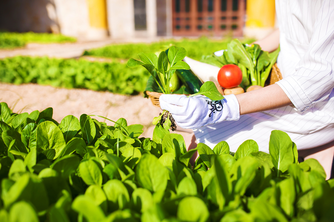 三亚亚龙湾奢华度假酒店,三亚亚龙湾性价比最高亲子酒店