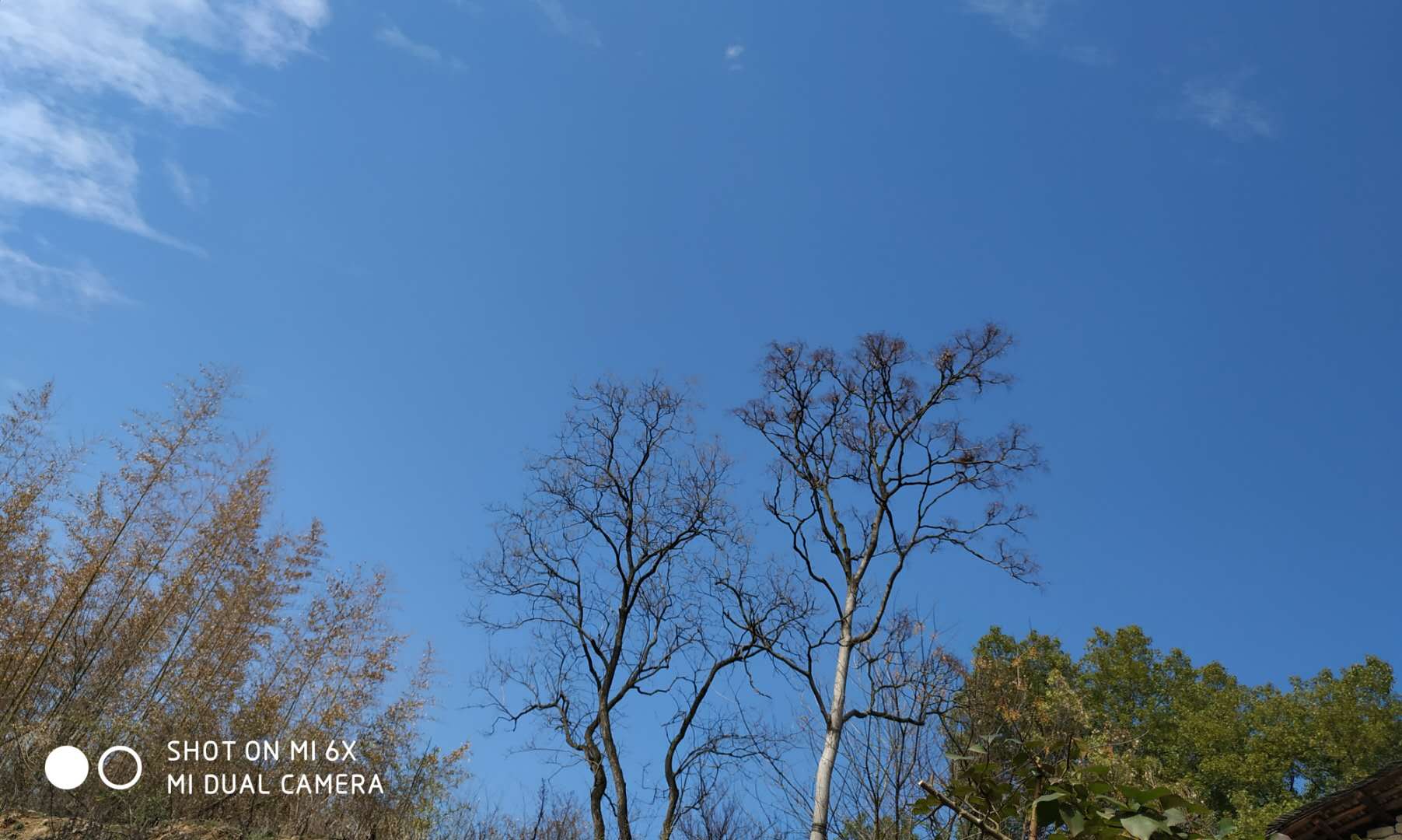 宅家23天，我养成了一个终身受用的好习惯