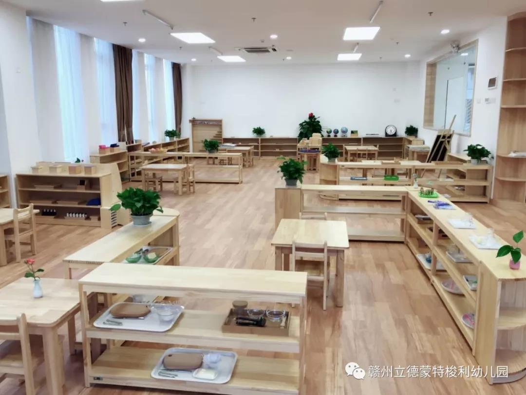 赣州自然树蒙特梭利幼儿园招生,赣州立德自然树蒙特梭利幼儿园