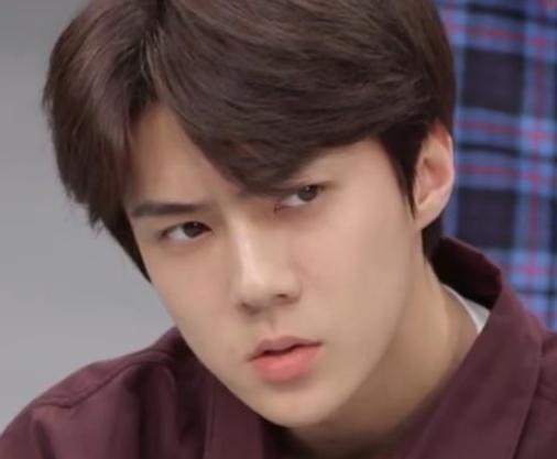 吴世勋是exo的团宠吗,吴世勋在exo的定位