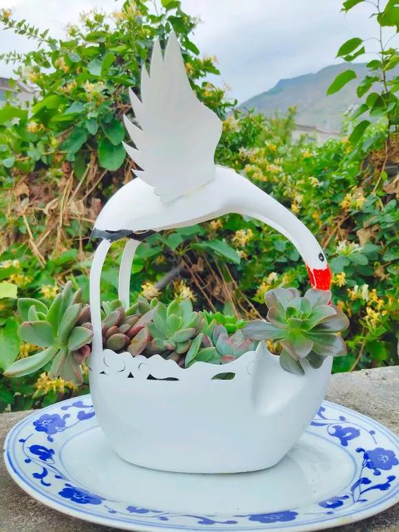 变废为宝可乐花盆手工制作幼儿园,变废为宝的创意花盆自己手工制作