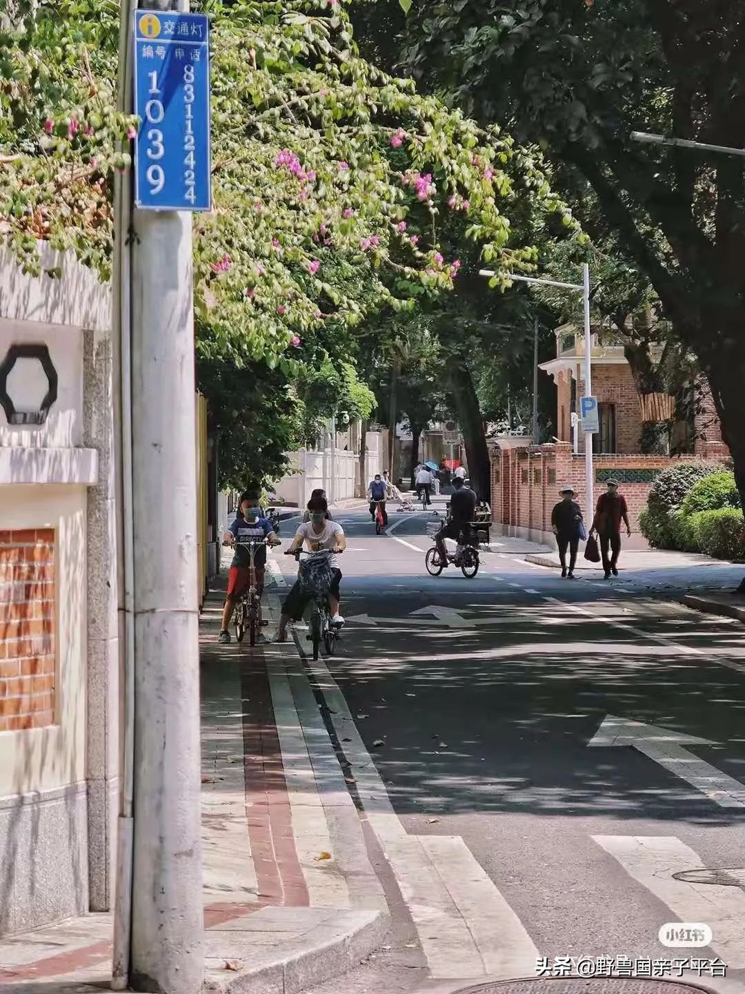 广州遛娃旅游推荐路线攻略,广州遛娃清单升级版