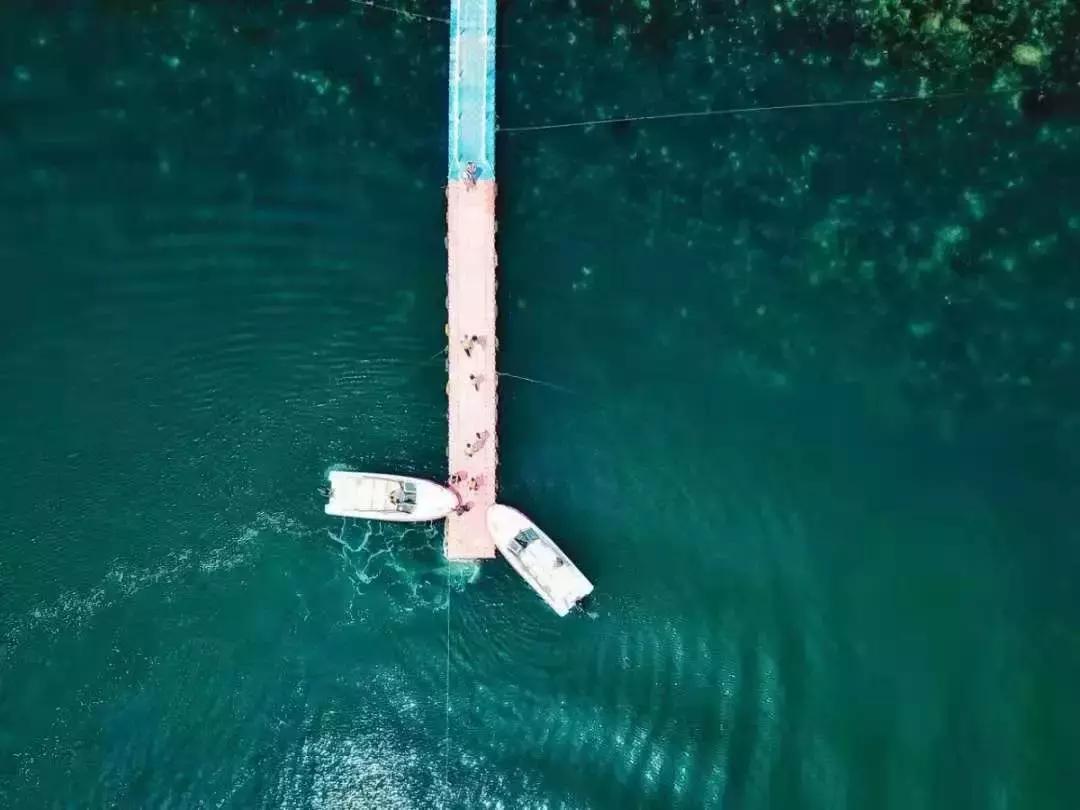 前方高能预警会怎样,前方高能预警提示