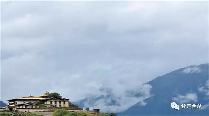 【走*藏西**】羌纳，绿色的海洋