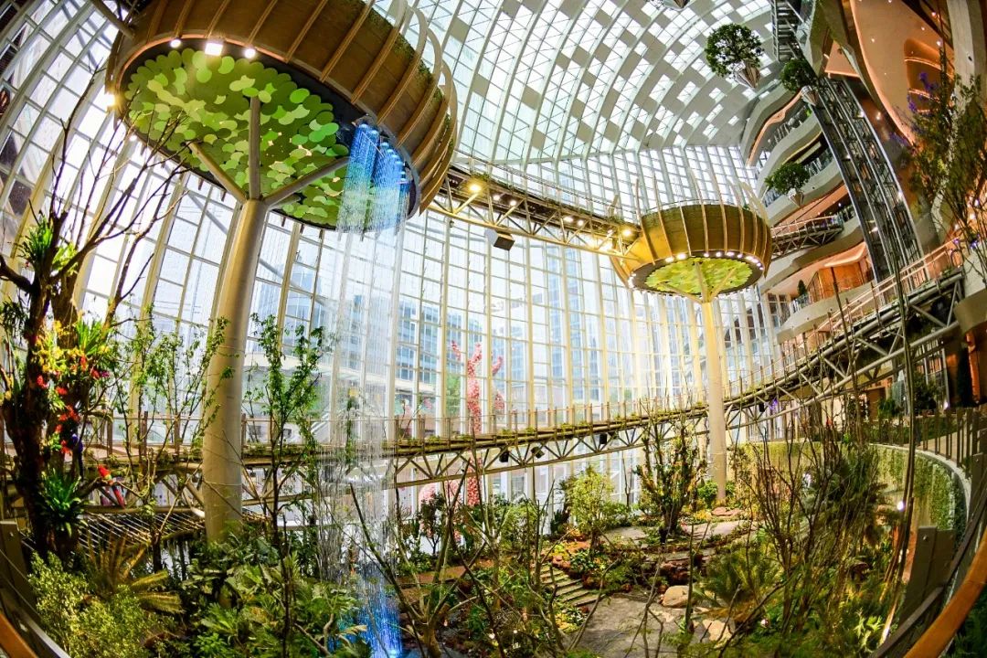 香港置地光环系列,光环创业时间