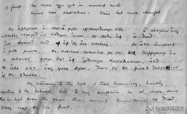 企鹅到底算不算鹅呢,企鹅是一群好的鹅吗