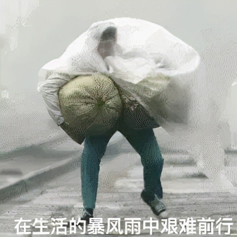 南航电力电子研究生,南航电力电子硕士