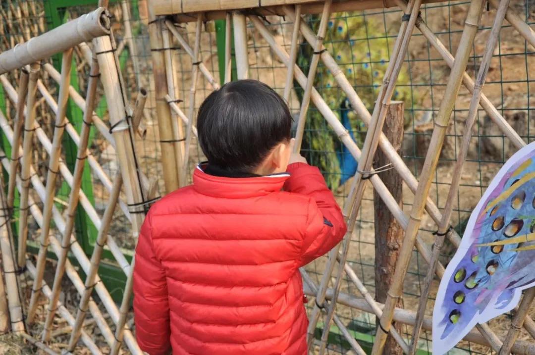 浪漫树屋、奇妙酒店、恒温水乐园...去江浙沪Top酒店跨个30℃的年